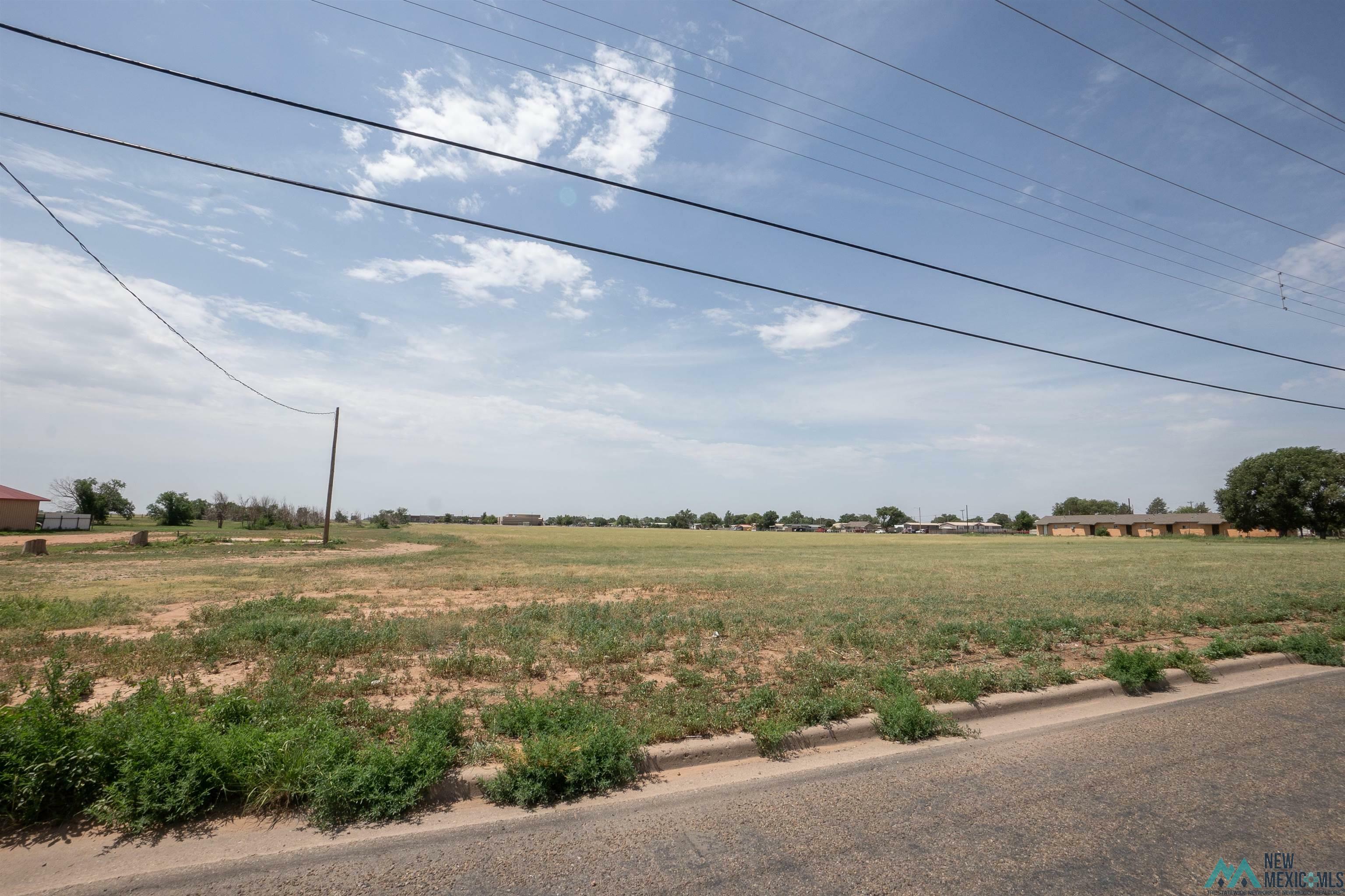 Property Photo:  915 E Brady Avenue  NM 88101 