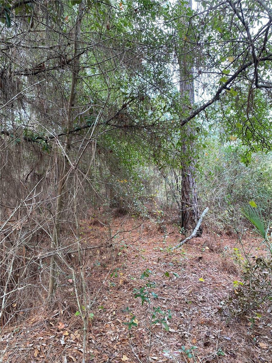 Property Photo:  Lakeside Drive  FL 32720 