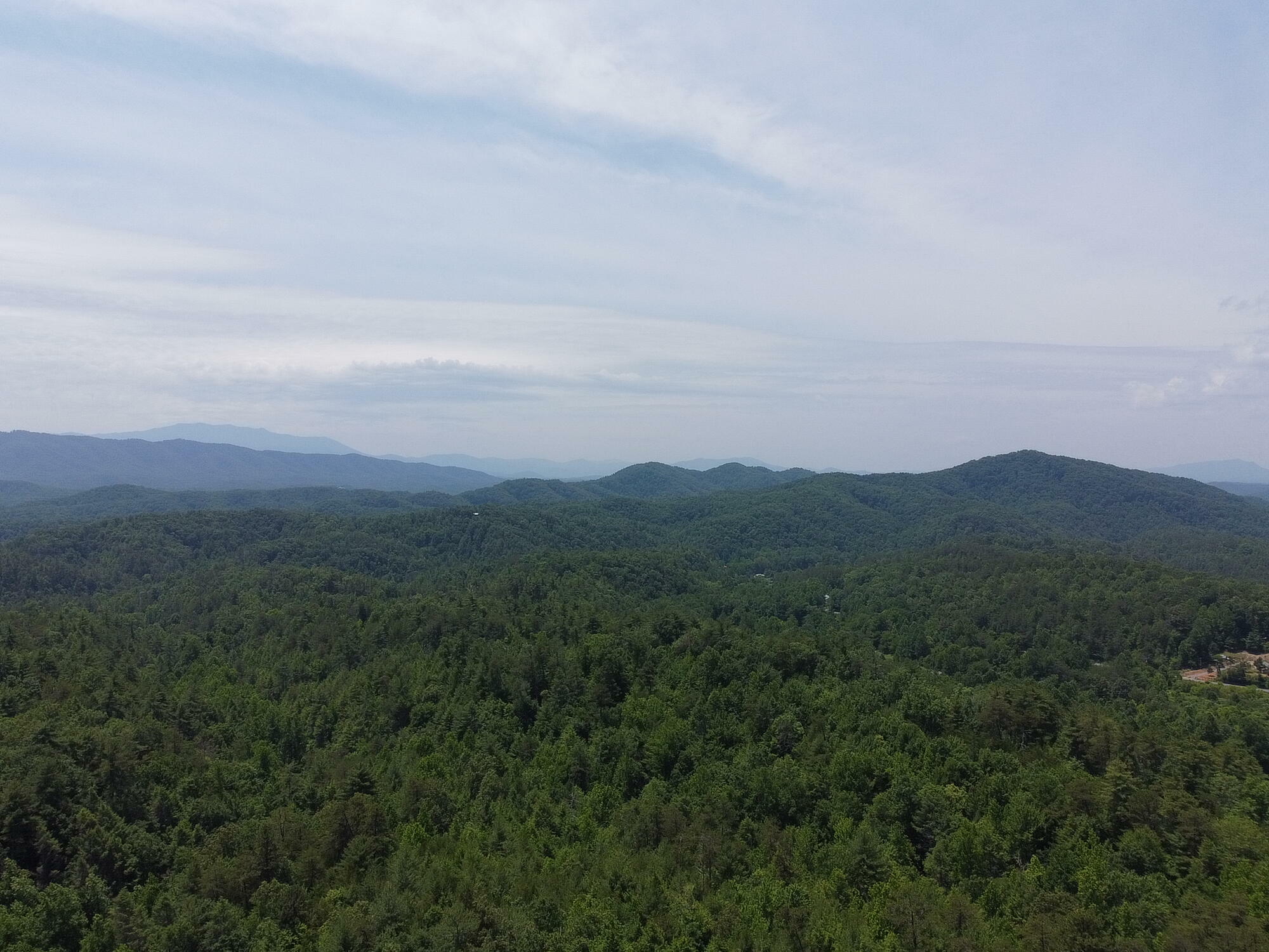 Property Photo:  Off Wilhite Rd  TN 37876 