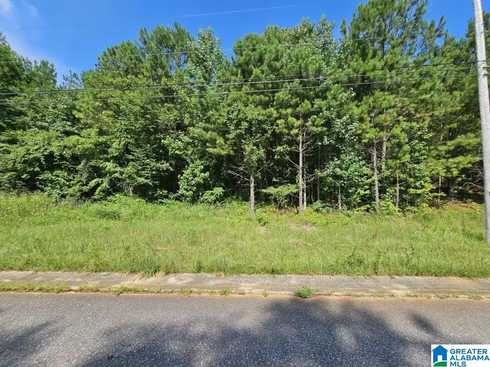 Property Photo:  Lot 6 Woodhaven Drive 6  AL 35128 