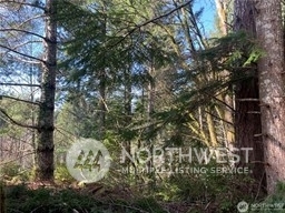 Property Photo:  841 E Creekside Drive  WA 98528 