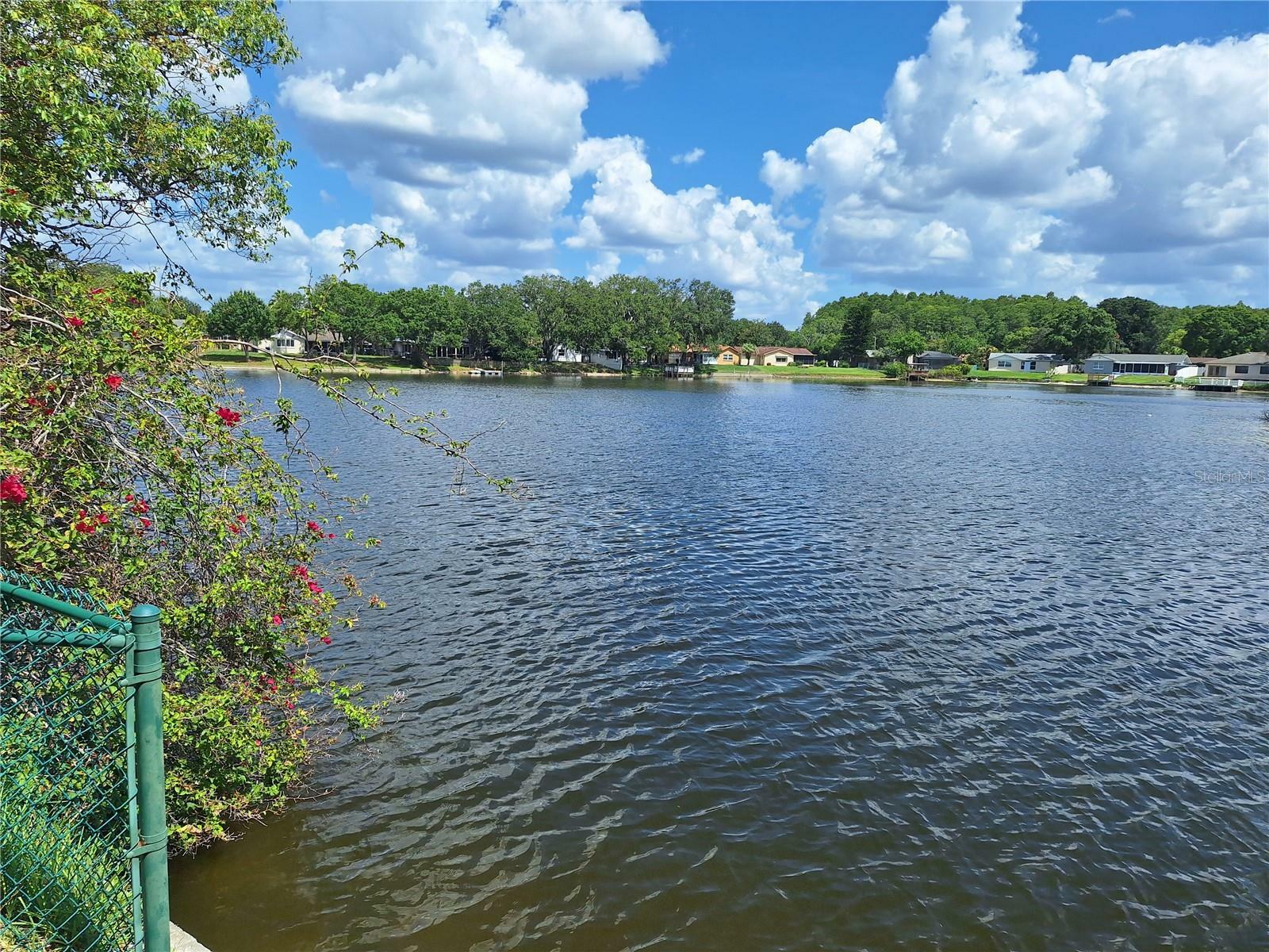 Property Photo:  4236 Swallowtail Drive  FL 34653 