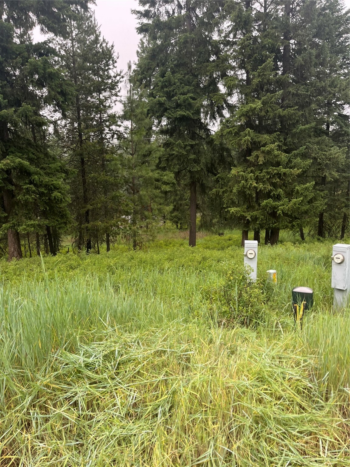 Property Photo:  Lot 5 Mossy Oak Court  MT 59873 