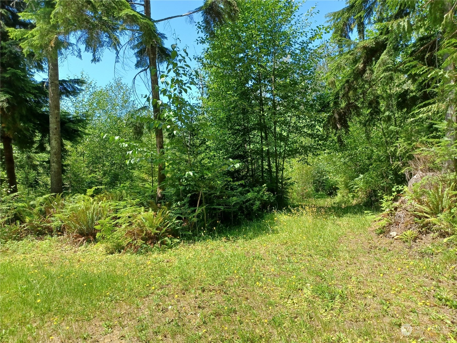 Property Photo:  94 Xx Woods Creek Road  WA 98272 