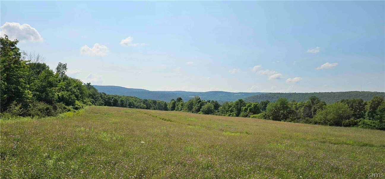 Property Photo:  00 Benjamin Hill Road  NY 14867 