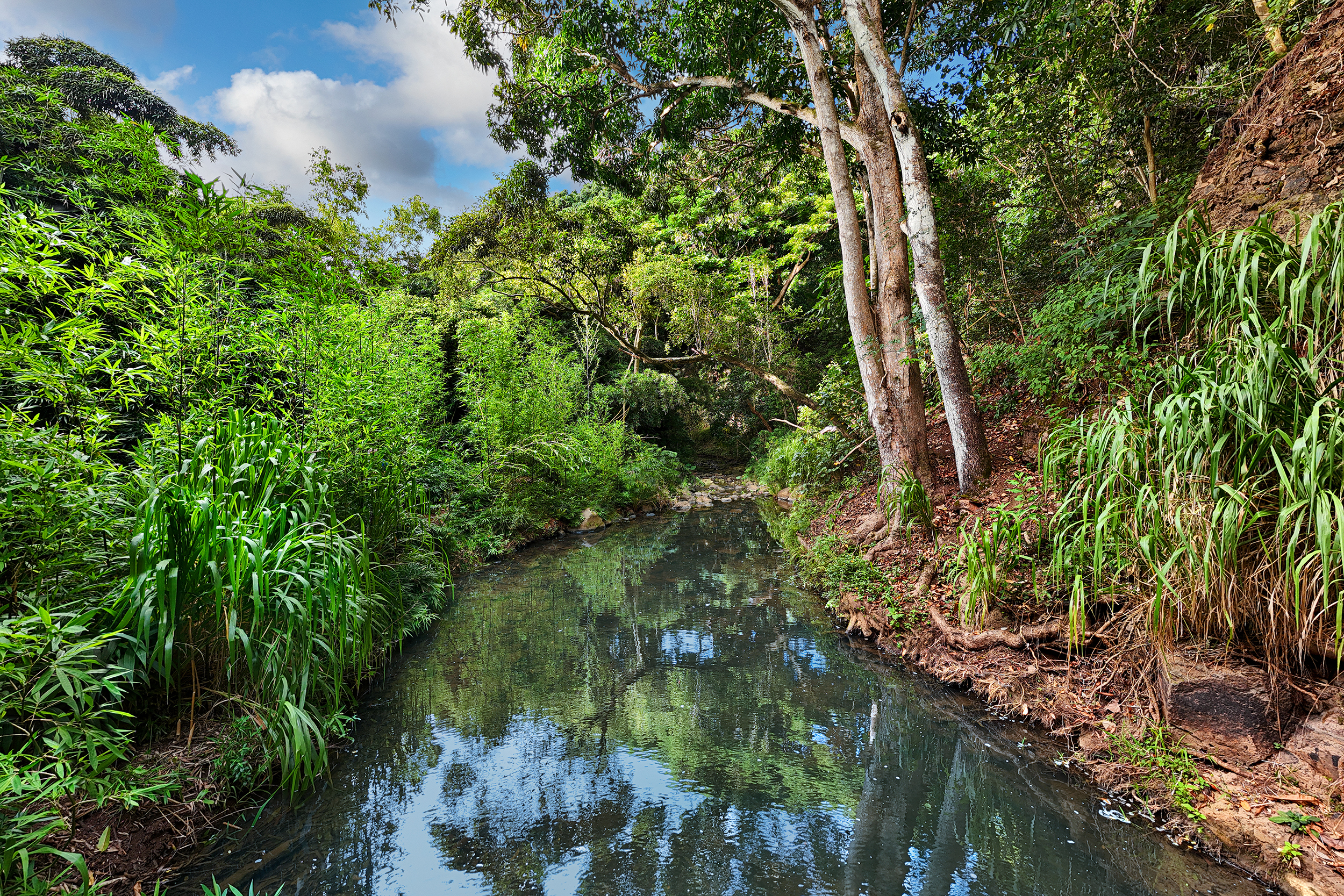 Property Photo:  6565-C Koolau Rd  HI 96746 