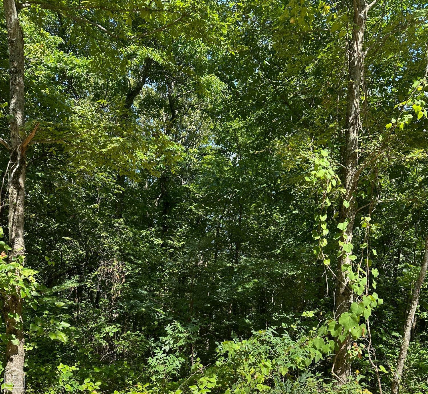 Property Photo:  4 Heber Springs Road  AR 72550 