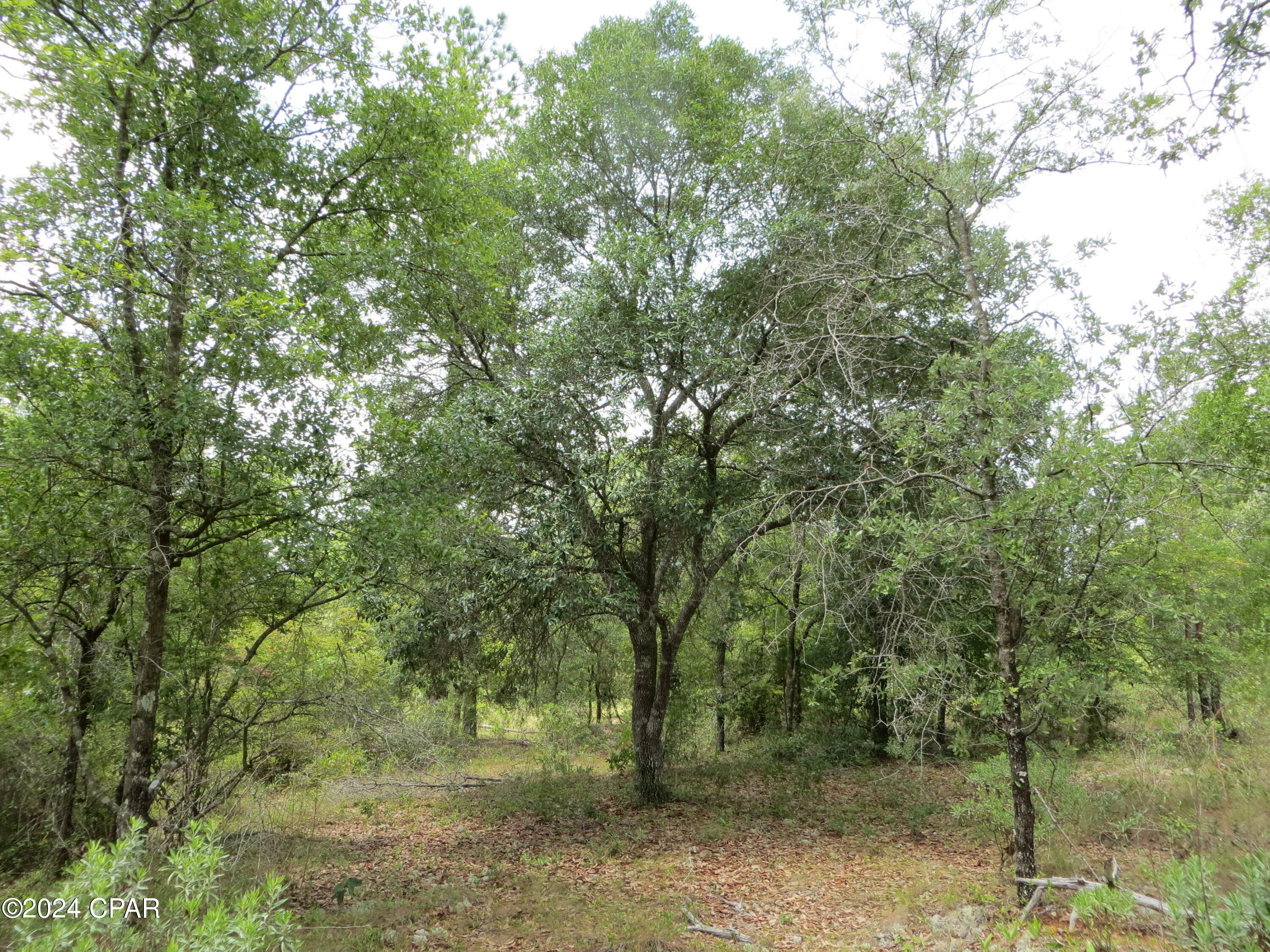 Property Photo:  0000 Moss Hill Road  FL 32428 