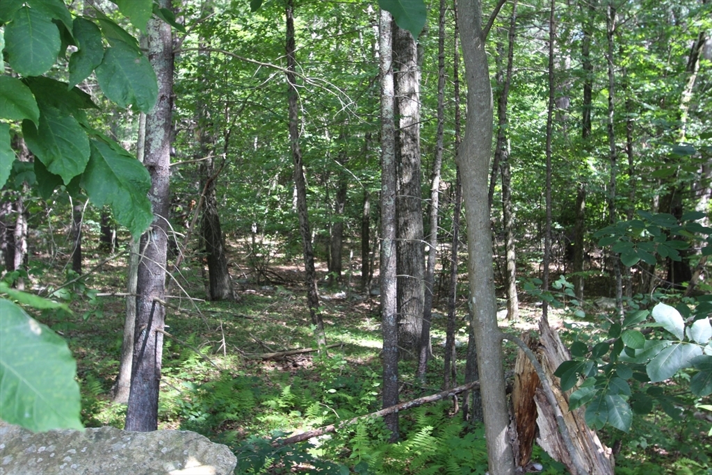 Property Photo:  62 Wesson Street Lot1  MA 01536 