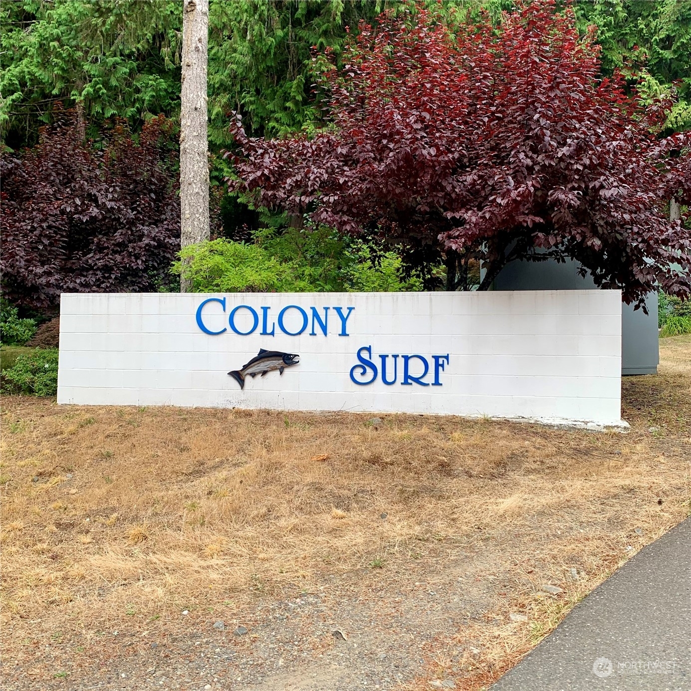 Property Photo:  520 N Lake Surf Drive  WA 98555 