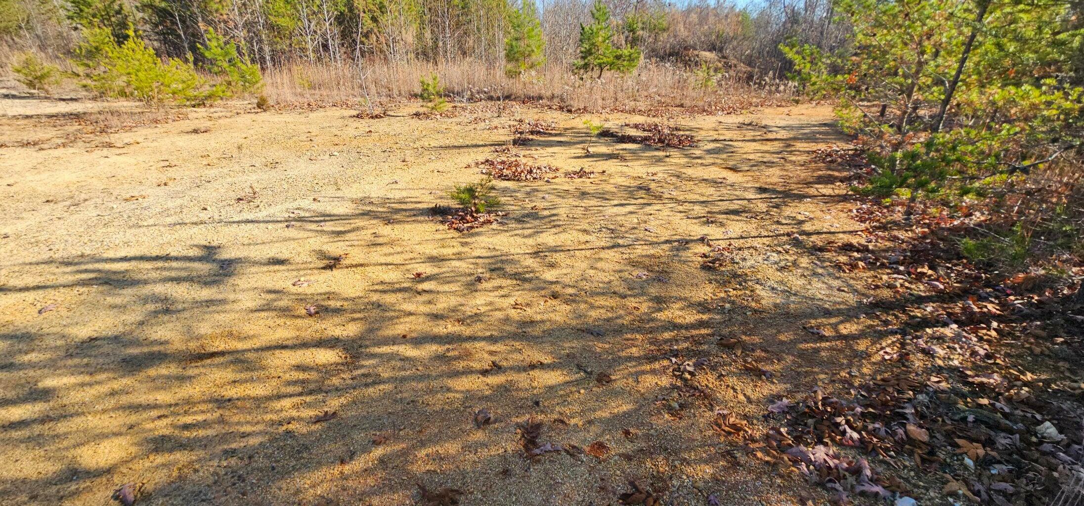 Property Photo:  27532 Rhea County Highway  TN 37381 