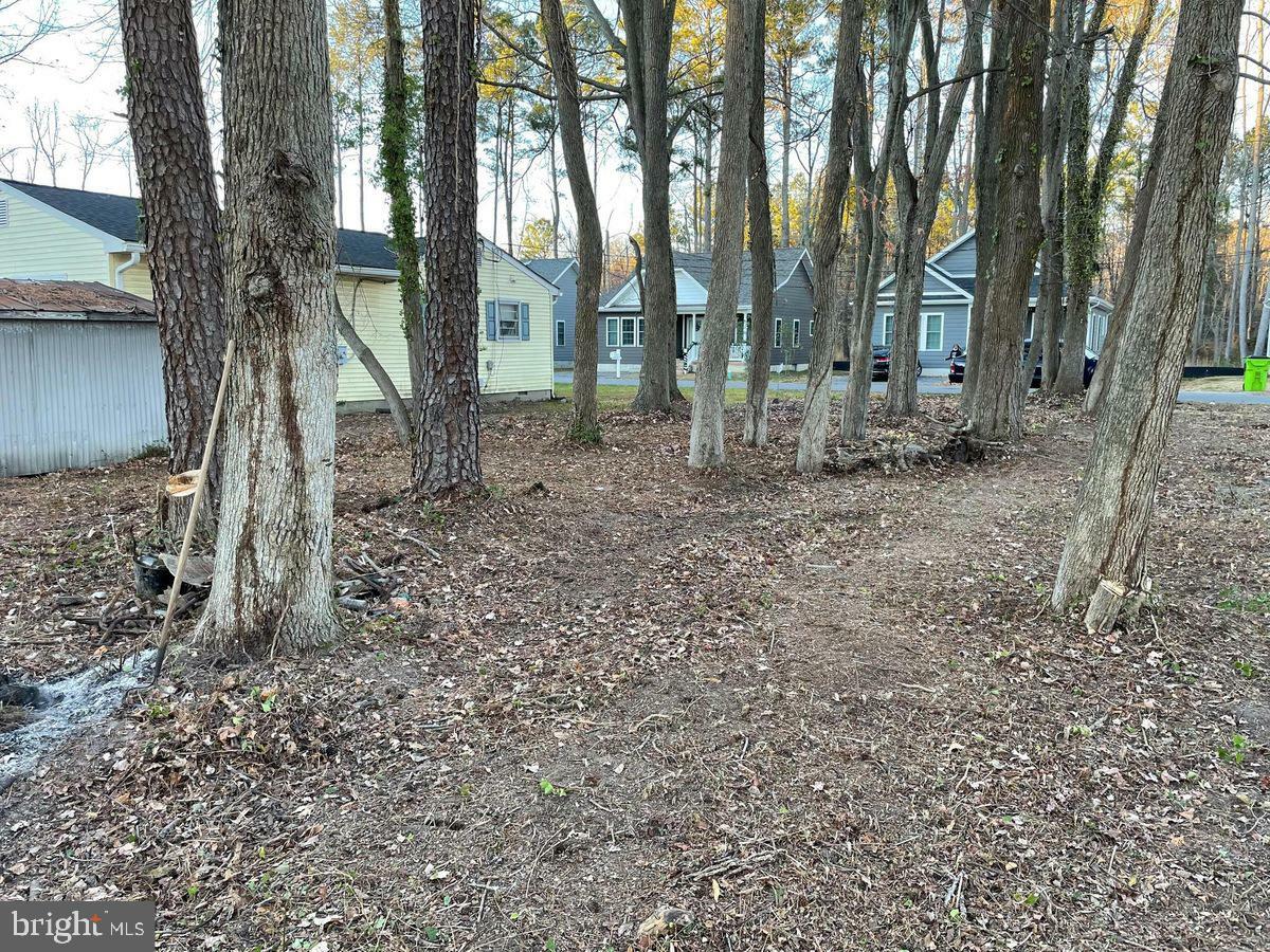 Property Photo:  Brooks Lane  MD 21663 