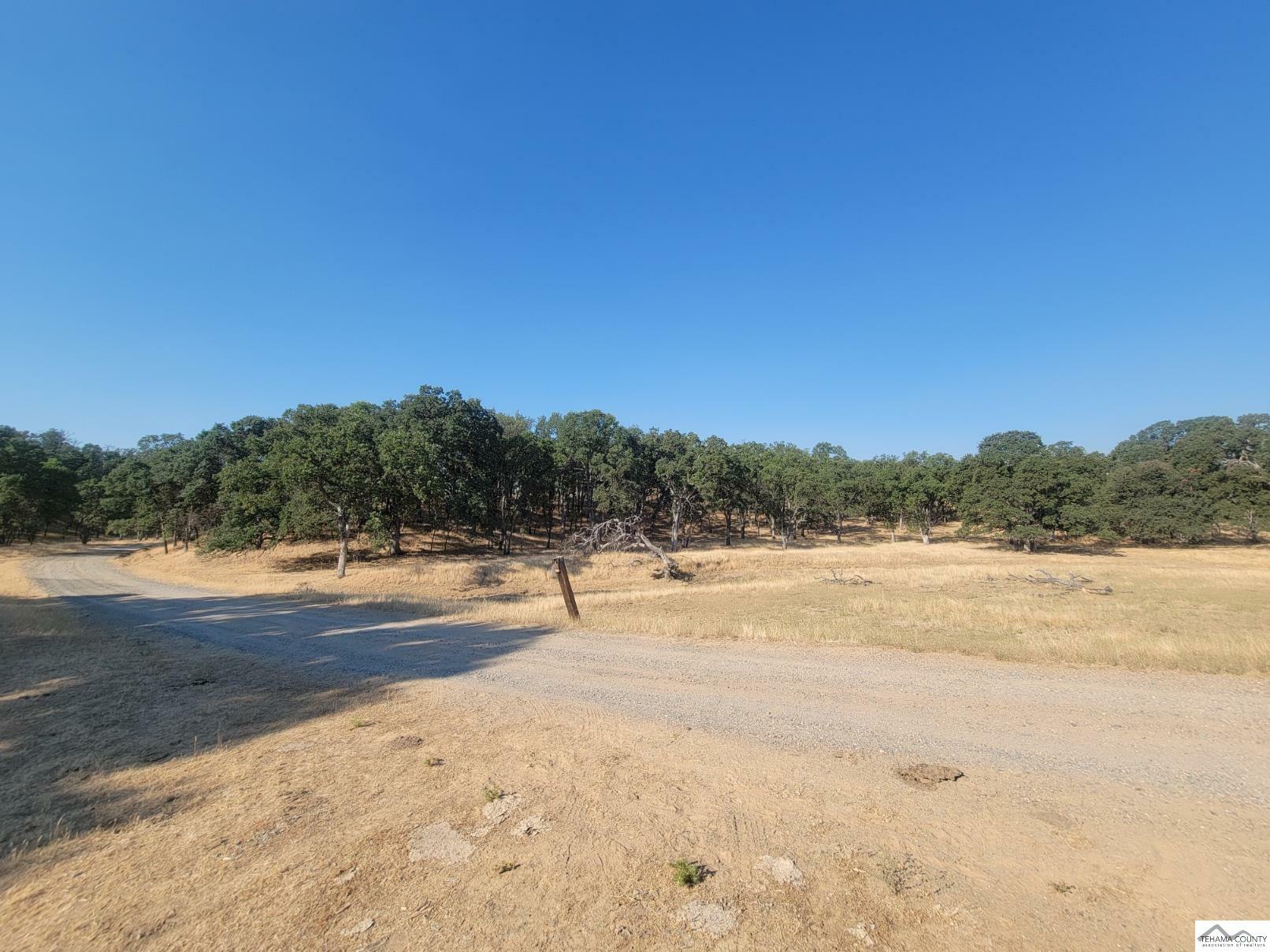 Property Photo:  000 Green Valley Acres Drive  CA 96080 