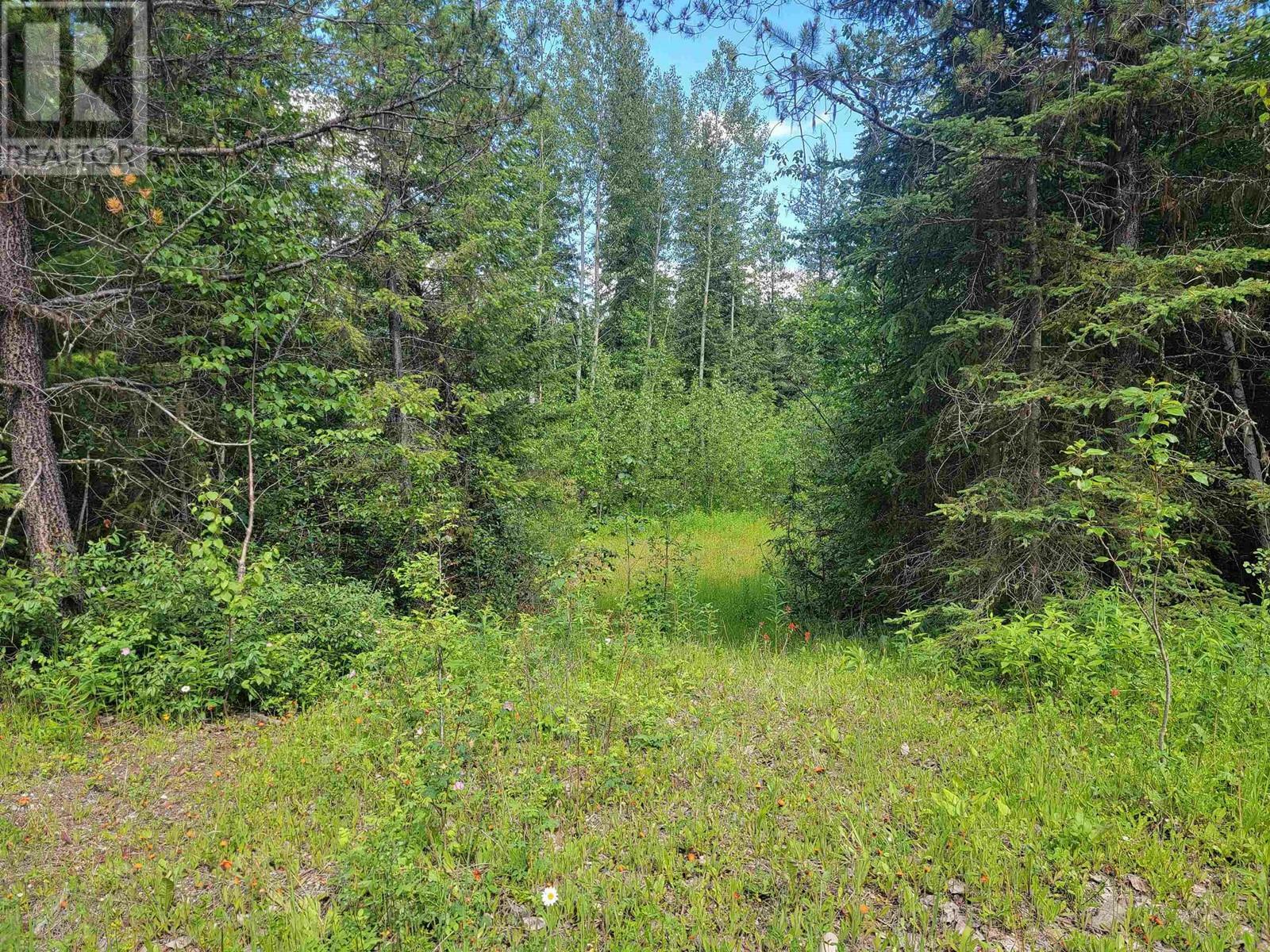 Lot 12 Blue Ridge Road  Quesnel BC V2J 6T4 photo