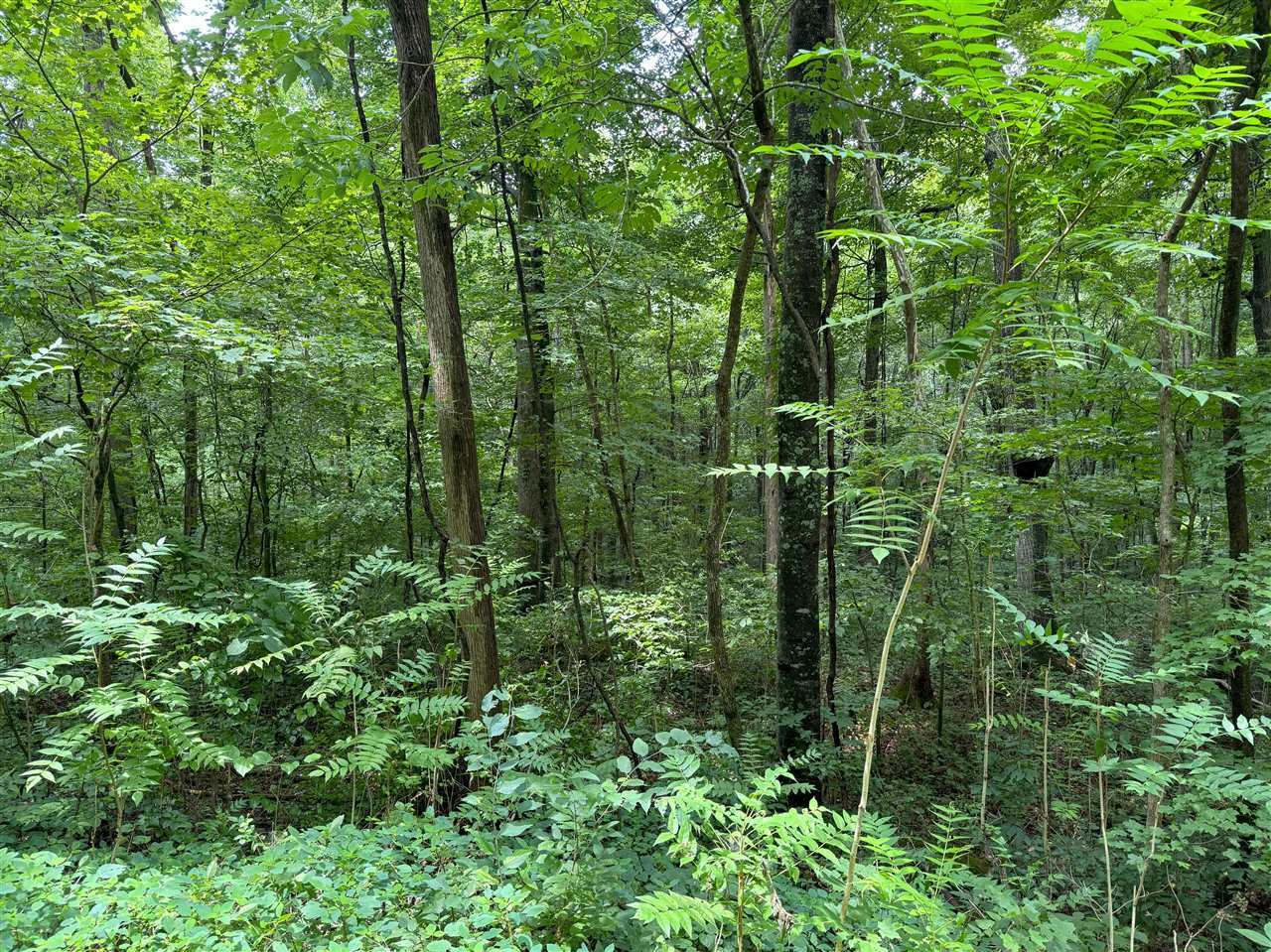 Property Photo:  0 Oak Hill Road  KY 42210 