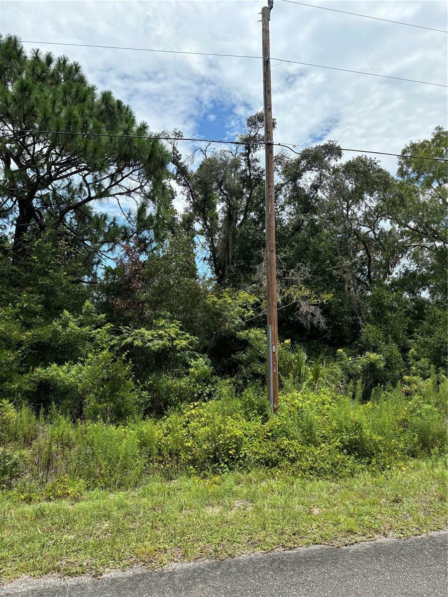 Property Photo:  0 SW Shasta Court  FL 34431 