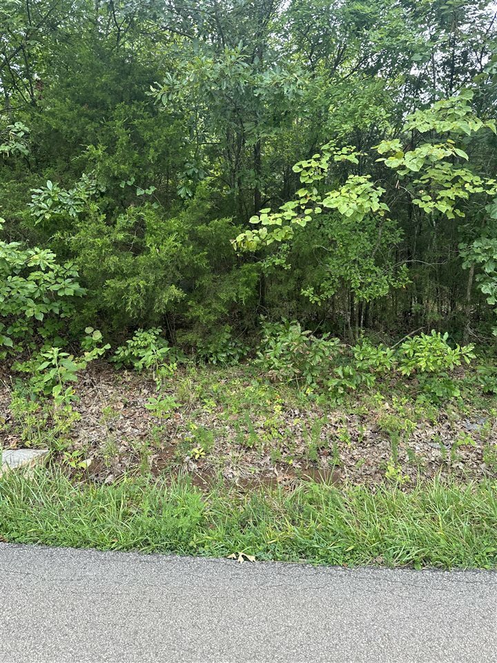 Property Photo:  317 Wimpee Smith Road  KY 42274 