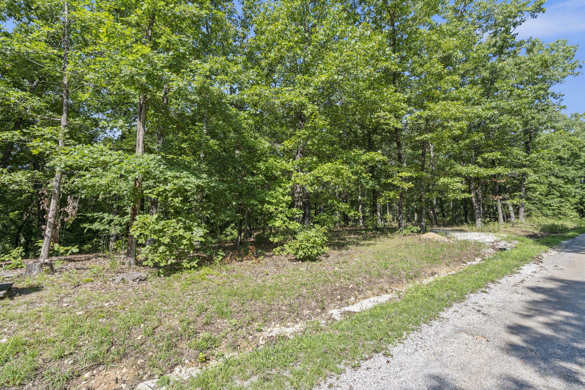 Property Photo:  505 Buckskin Ridge  MO 65669 