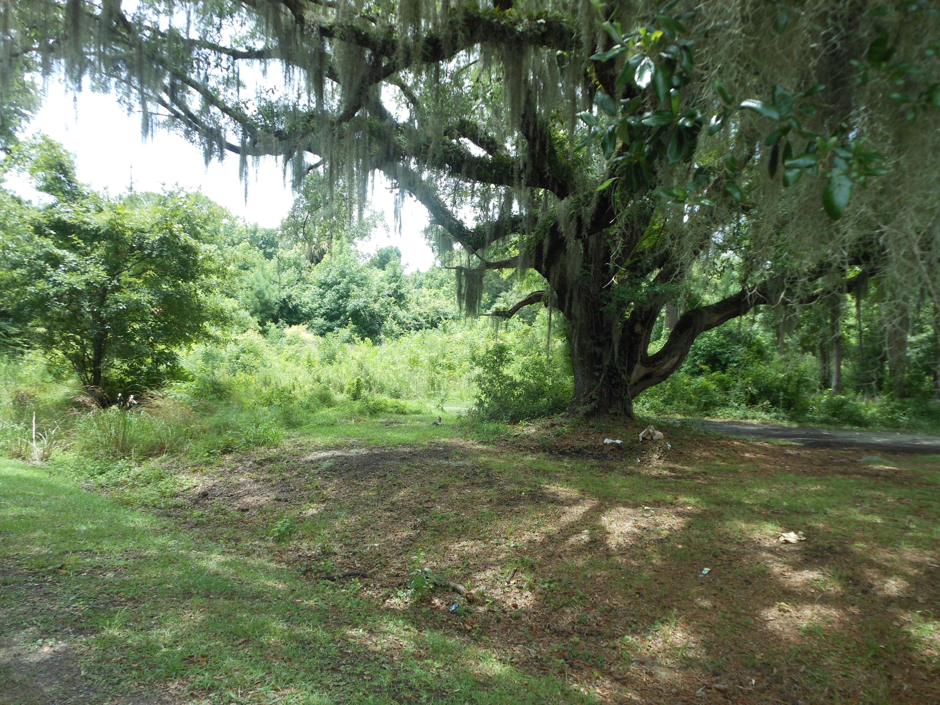 Property Photo:  8046 Cedar Hall Road  SC 29438 