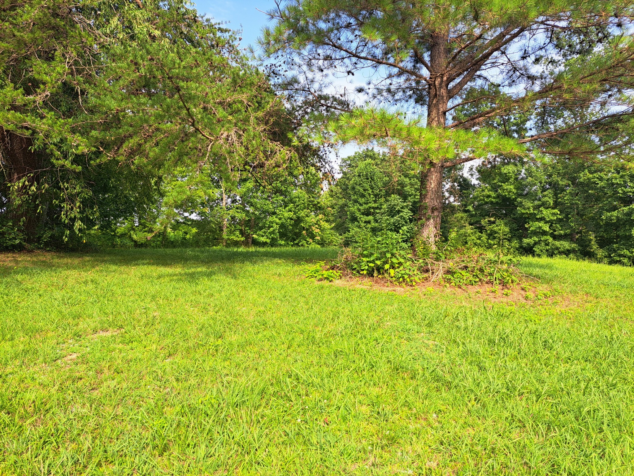 Property Photo:  0 Oak Grove Road  TN 37150 