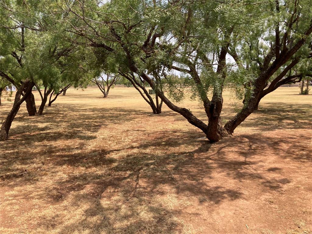 Property Photo:  Lot 29 Country Club Drive  TX 79536 