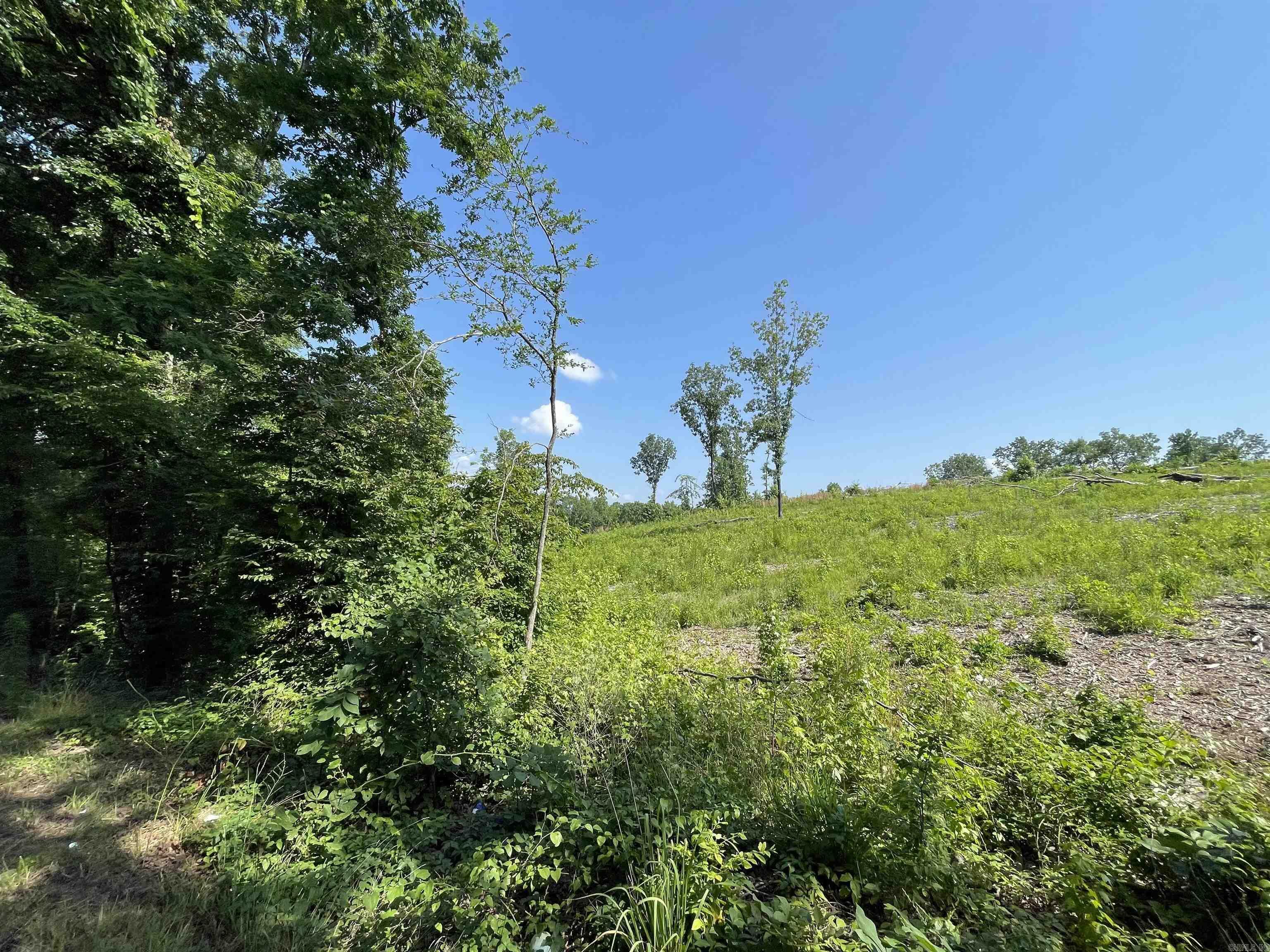 Property Photo:  Lot 5 Highway 5  AR 72019 