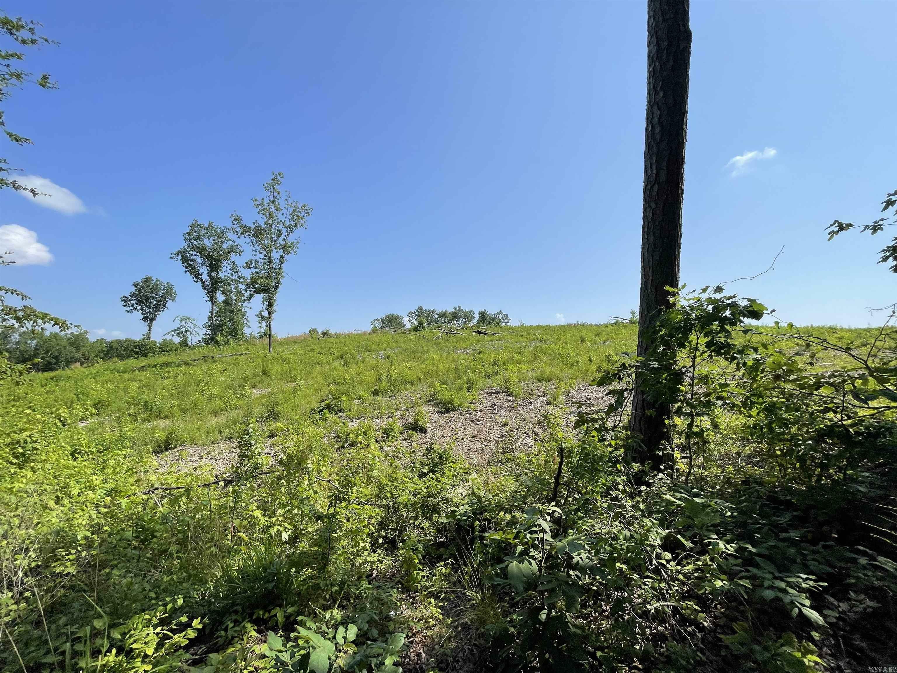 Property Photo:  Lot 4 Highway 5  AR 72019 