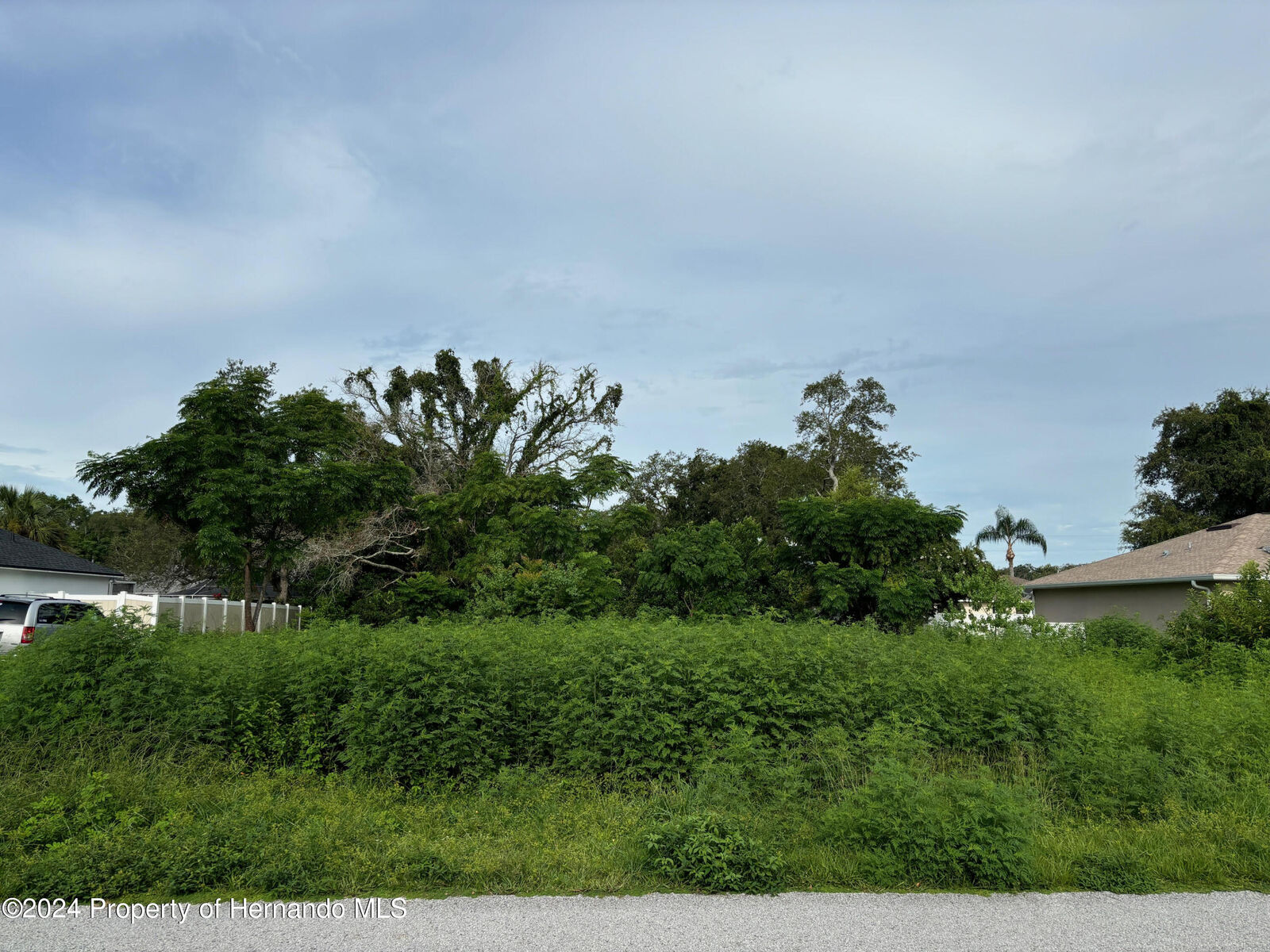 Property Photo:  Lot 17 Channing Avenue  FL 34608 