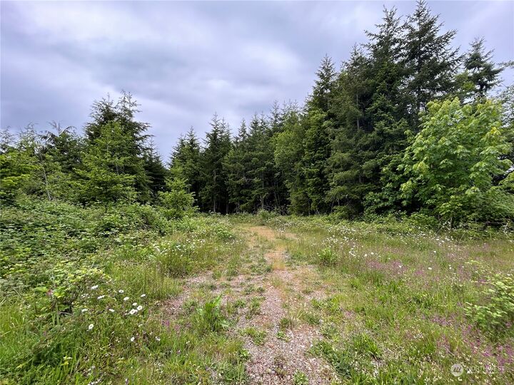 Property Photo:  0 Nka Mt Brynion Road  WA 98626 