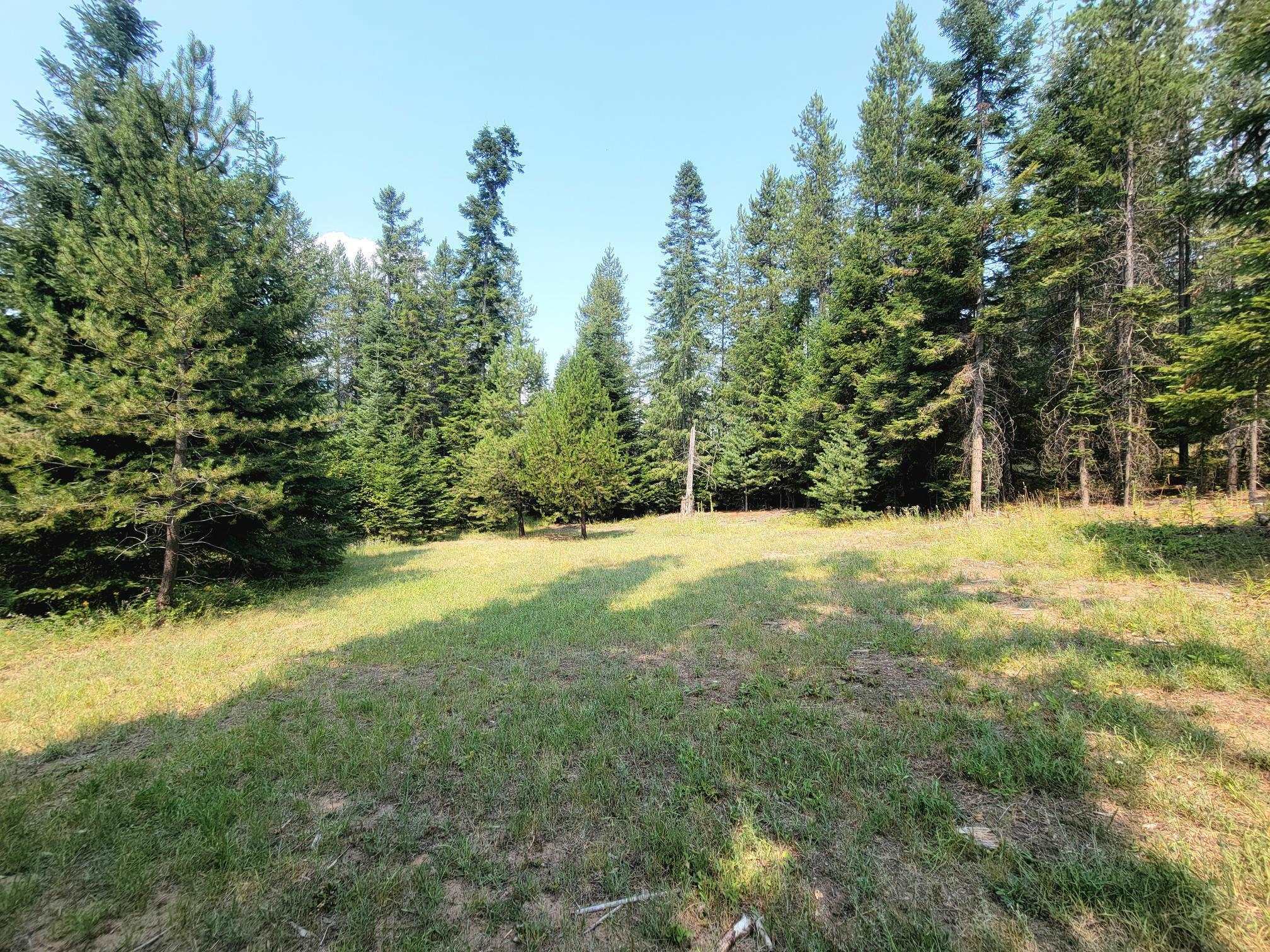 Property Photo:  Tbd Fir Dr  WA 99119 