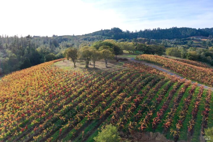 Property Photo: 6225 W Dry Creek Road CA 95448