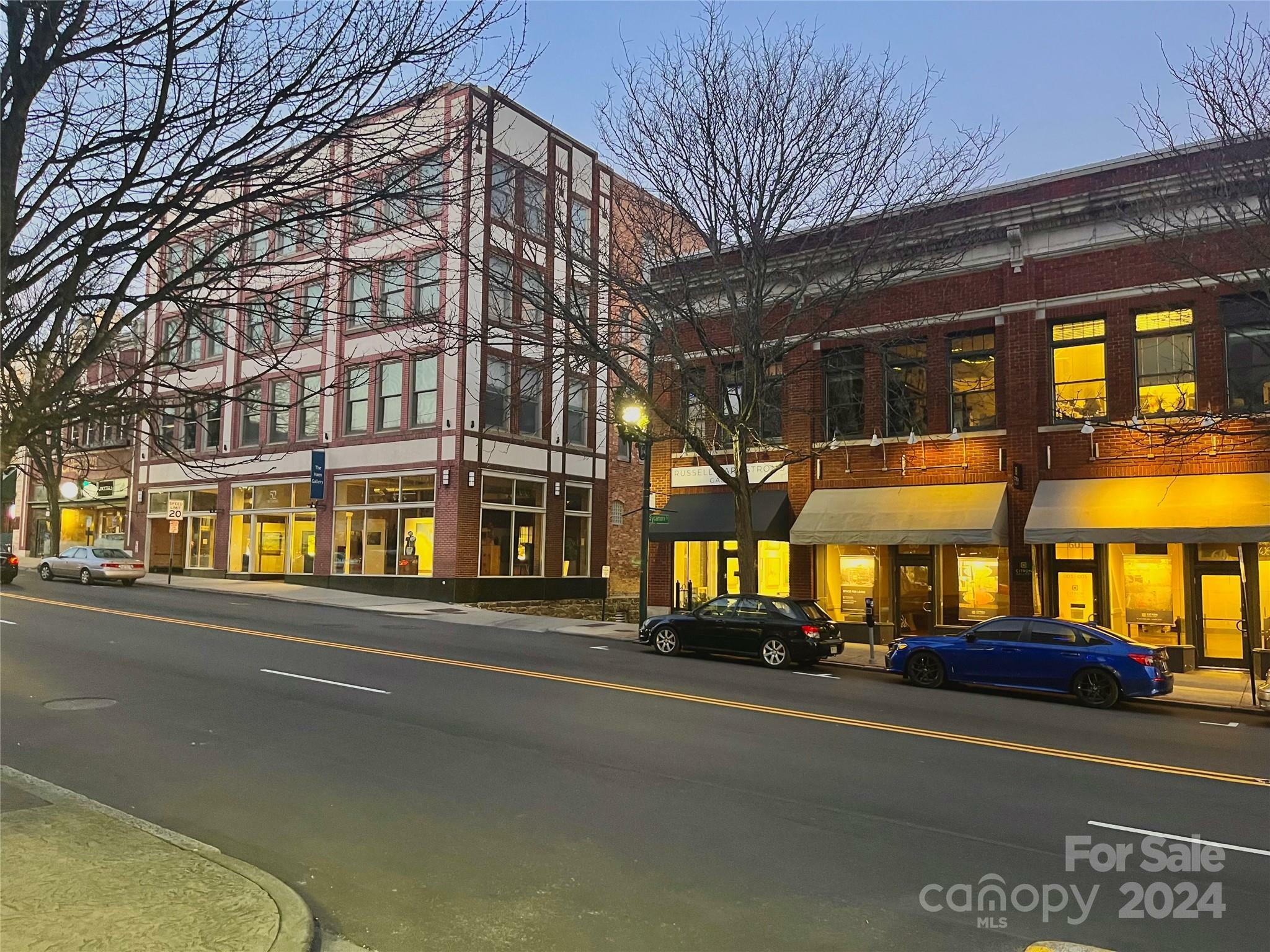 Property Photo:  52 Biltmore Avenue 204  NC 28801 