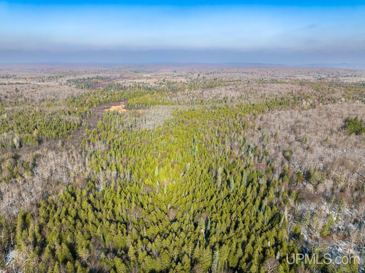 Property Photo:  Off Forest Road 8183  MI 49947 