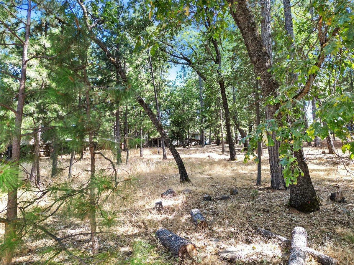 Property Photo:  11478 Alta Sierra Drive  CA 95949 