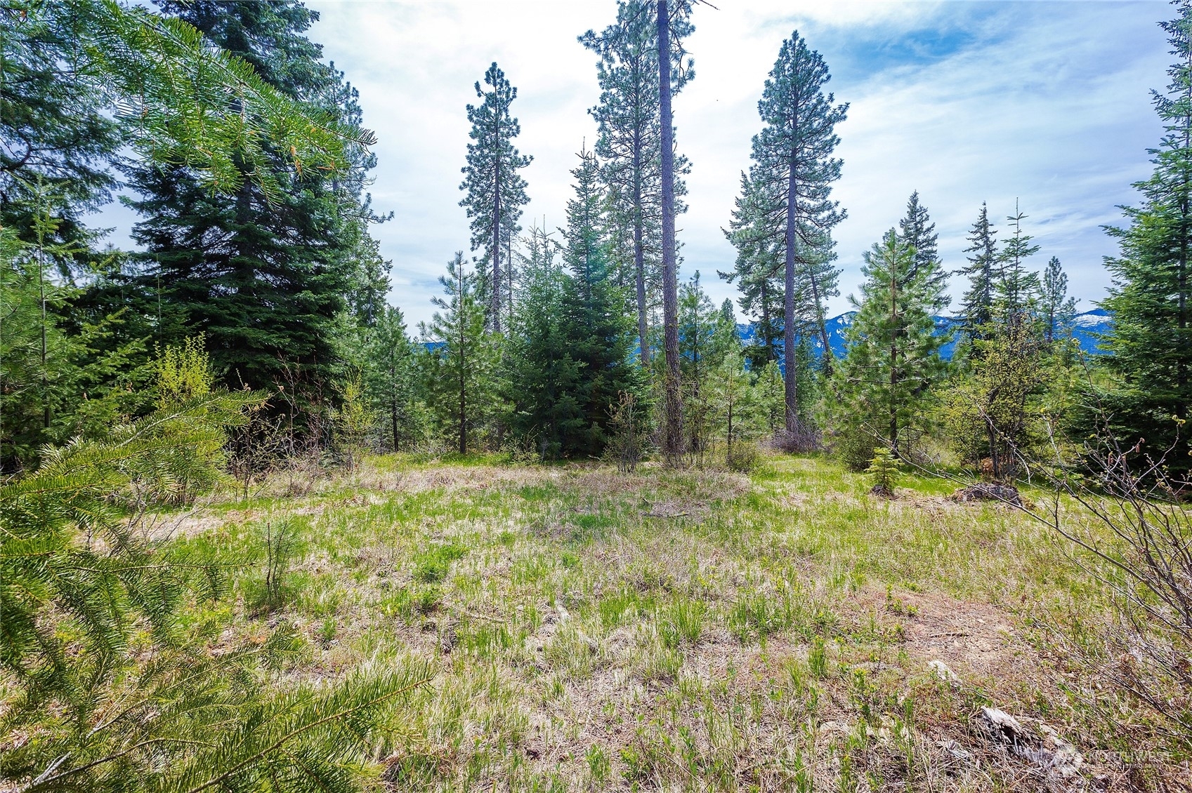 Property Photo:  0 Lot H R&R Heights Drive  WA 98941 