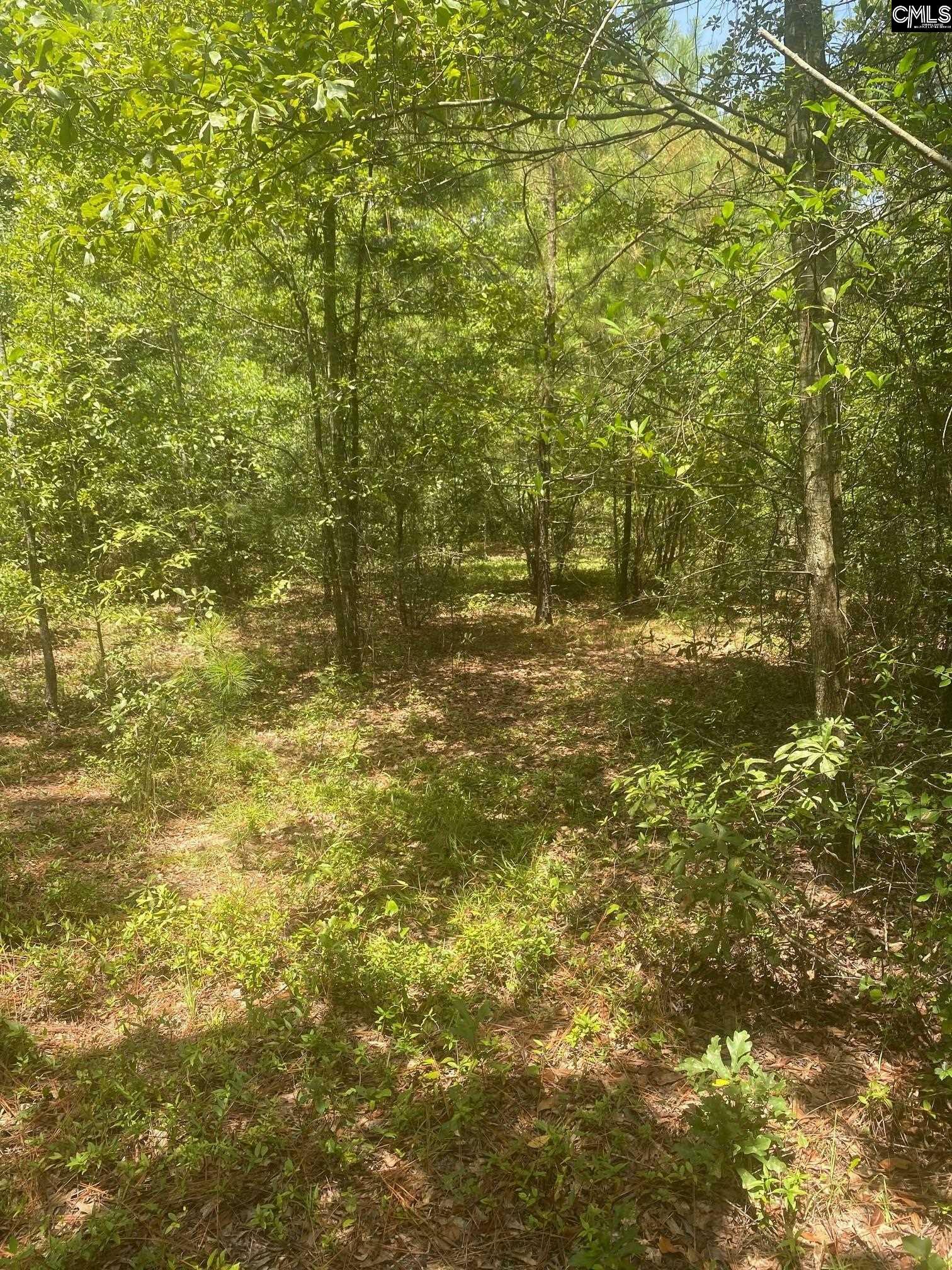 Property Photo:  Rutherford  SC 29073 