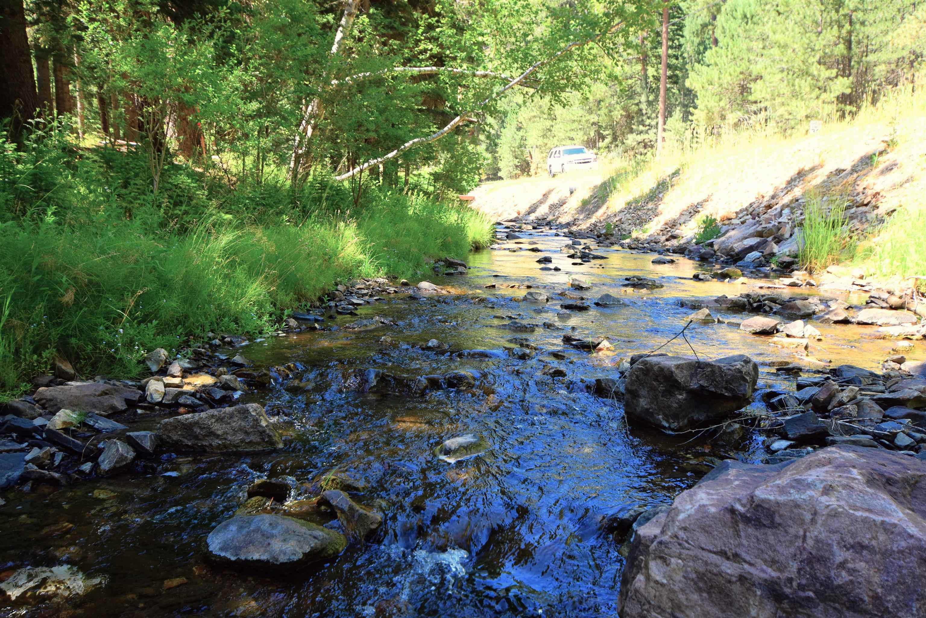 Property Photo: Galena Road SD 57732