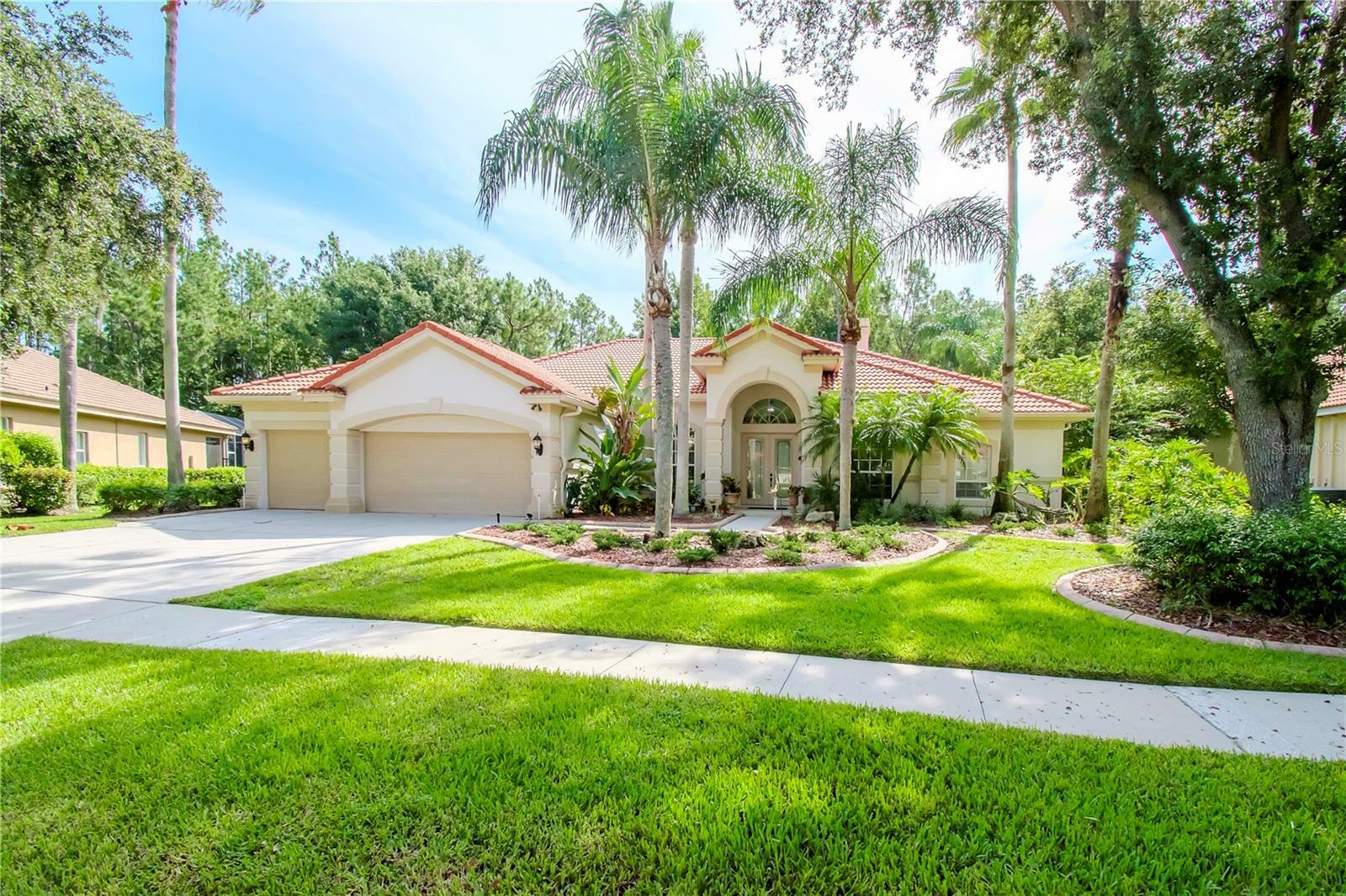 Property Photo:  17812 Arbor Greene Drive  FL 33647 