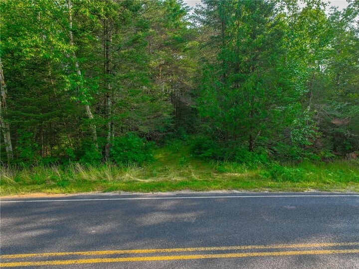 Property Photo:  Xxxx W Moose Lake Road  WI 54843 