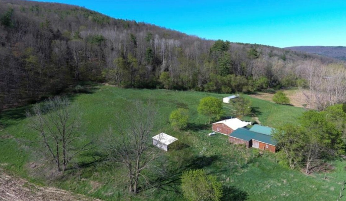 Property Photo:  1937 Purdy Creek Road  NY 14843 