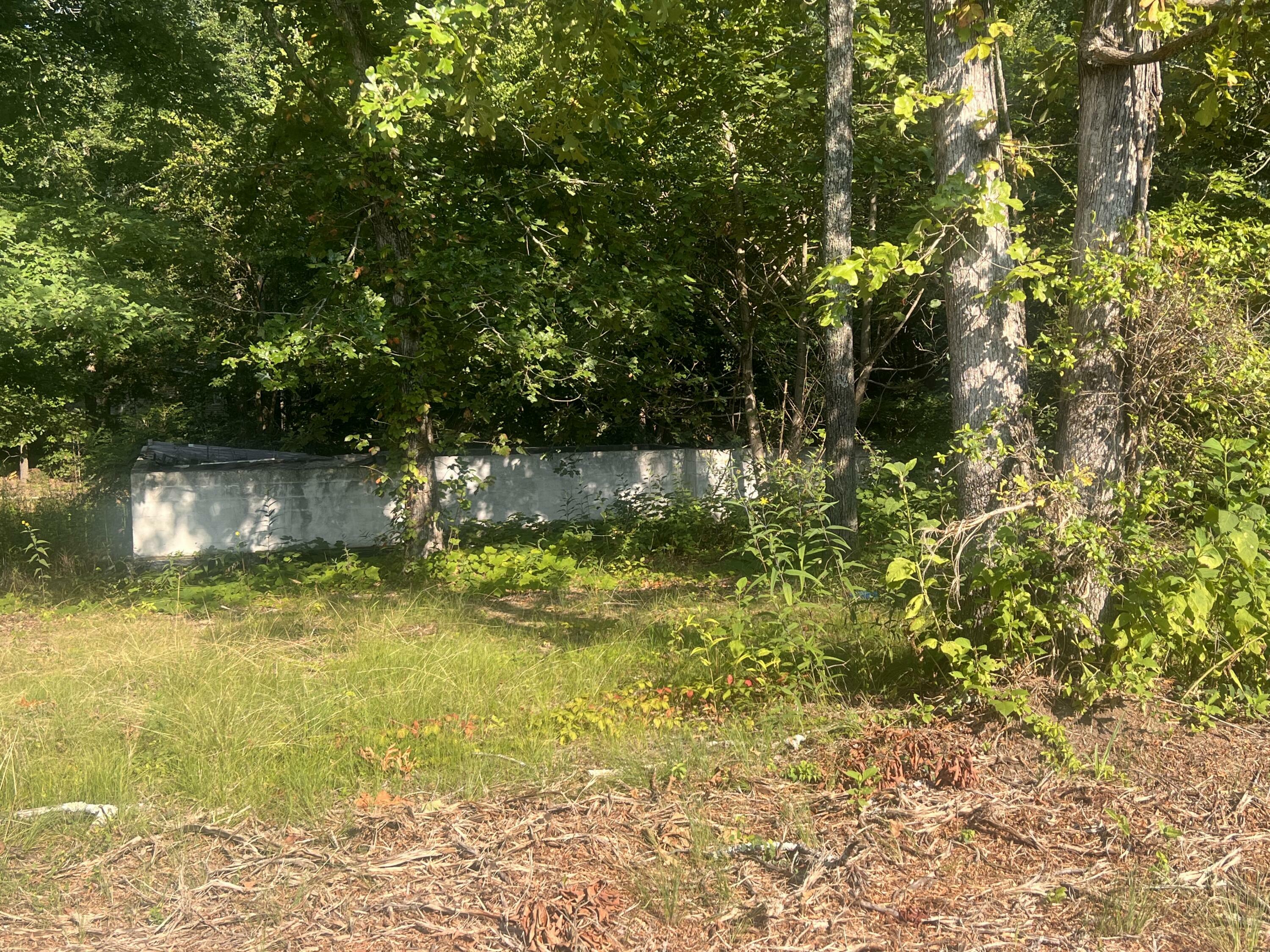 Property Photo:  0 Prince Road  GA 30752 