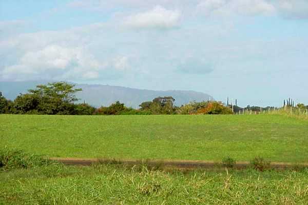 Pu'U Pane  Kilauea HI 96754 photo