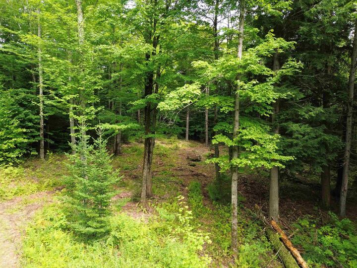 Property Photo:  00 Knolls Road  VT 05674 