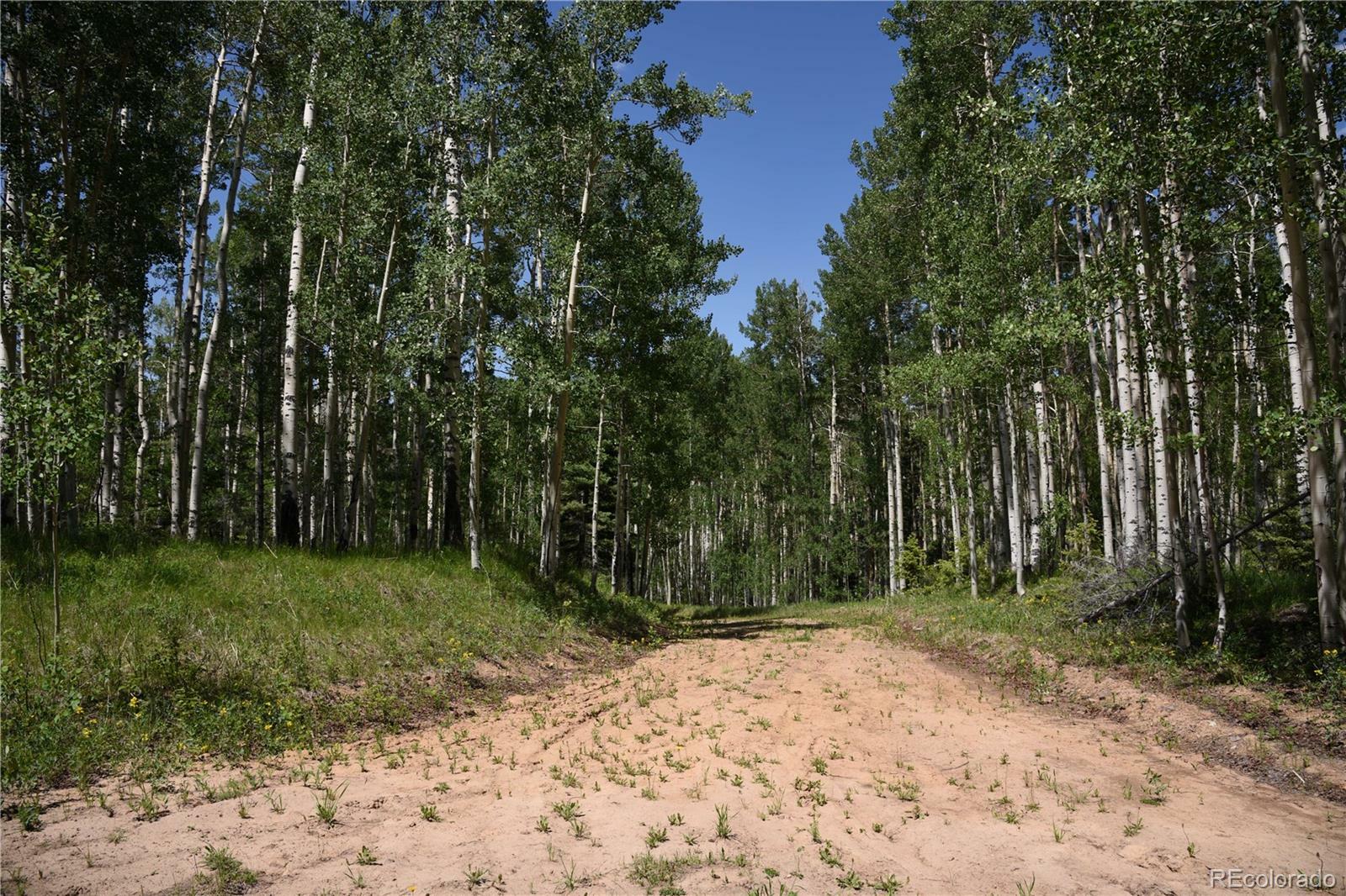 Property Photo:  0000 Mo Road  CO 81133 