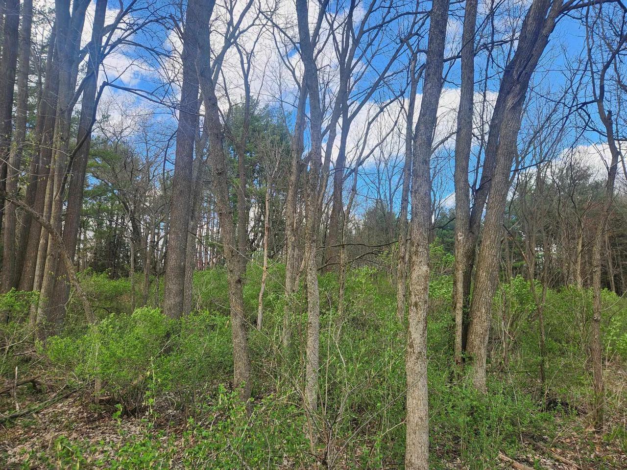 Property Photo:  Lot 1 Elizabeth Street  WI 53573 