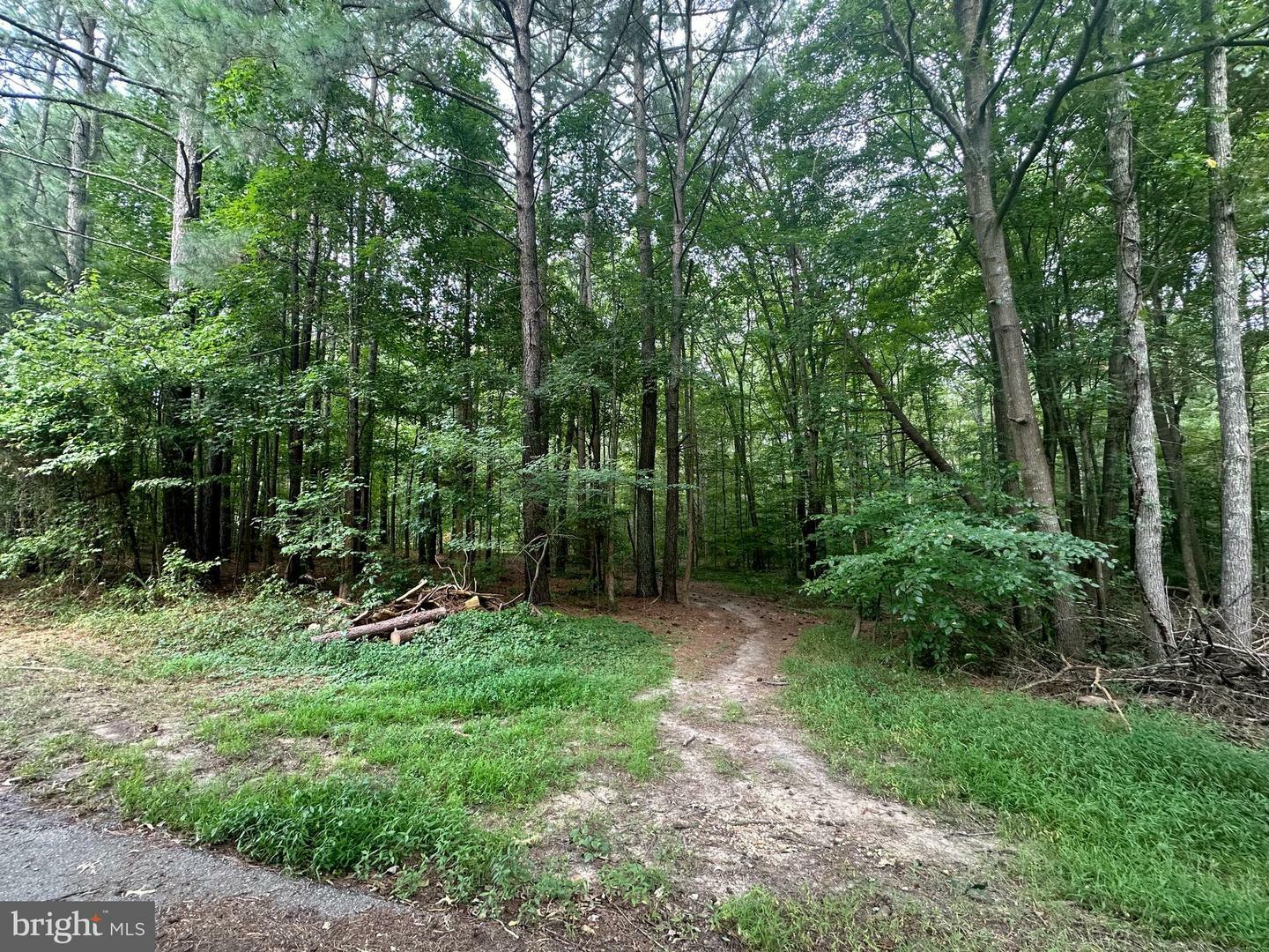 Property Photo:  Parcel 347 Shady Oak Lane  MD 20646 