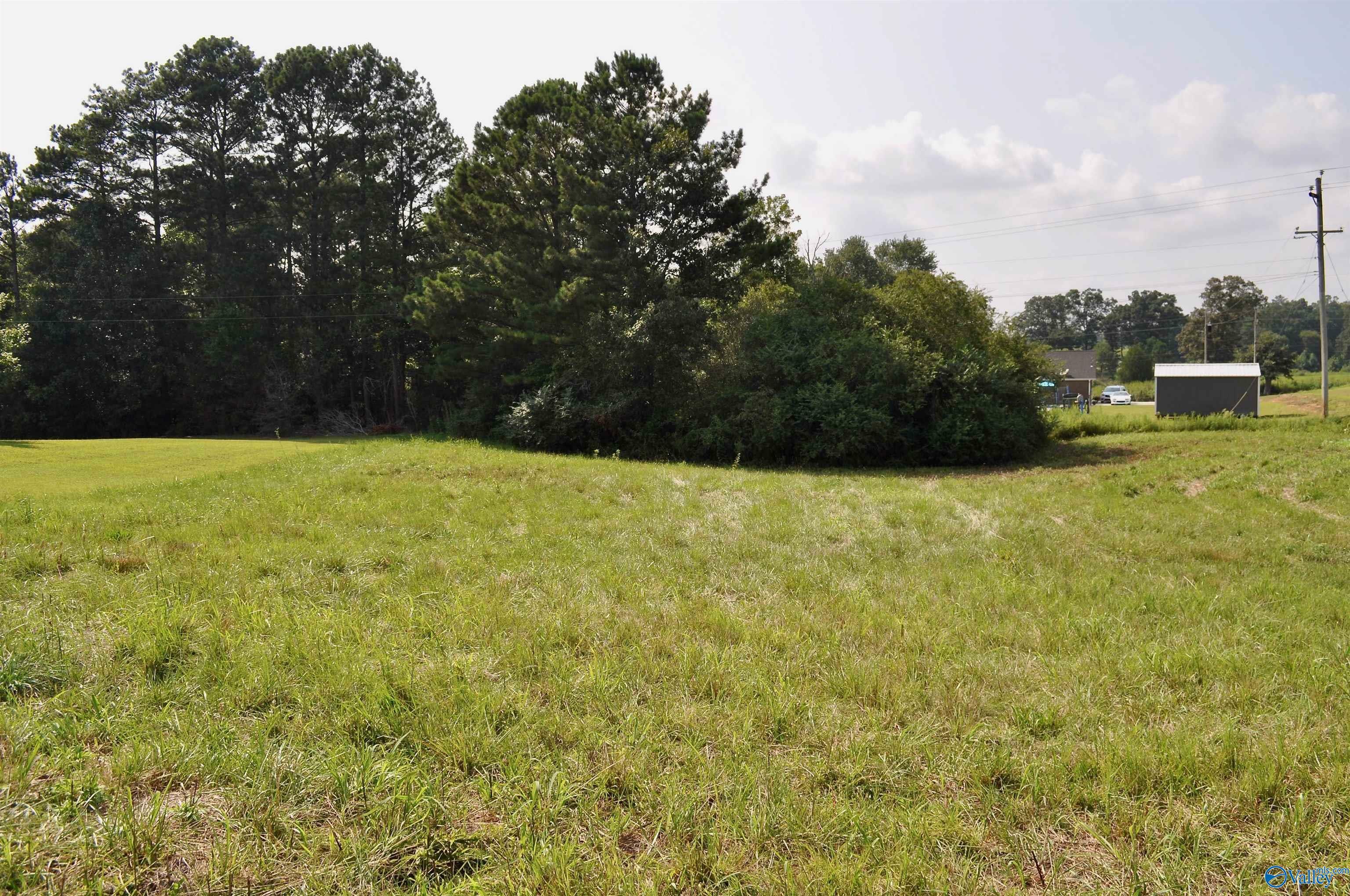 Property Photo:  Lot 7 Tiffany Drive  AL 35058 