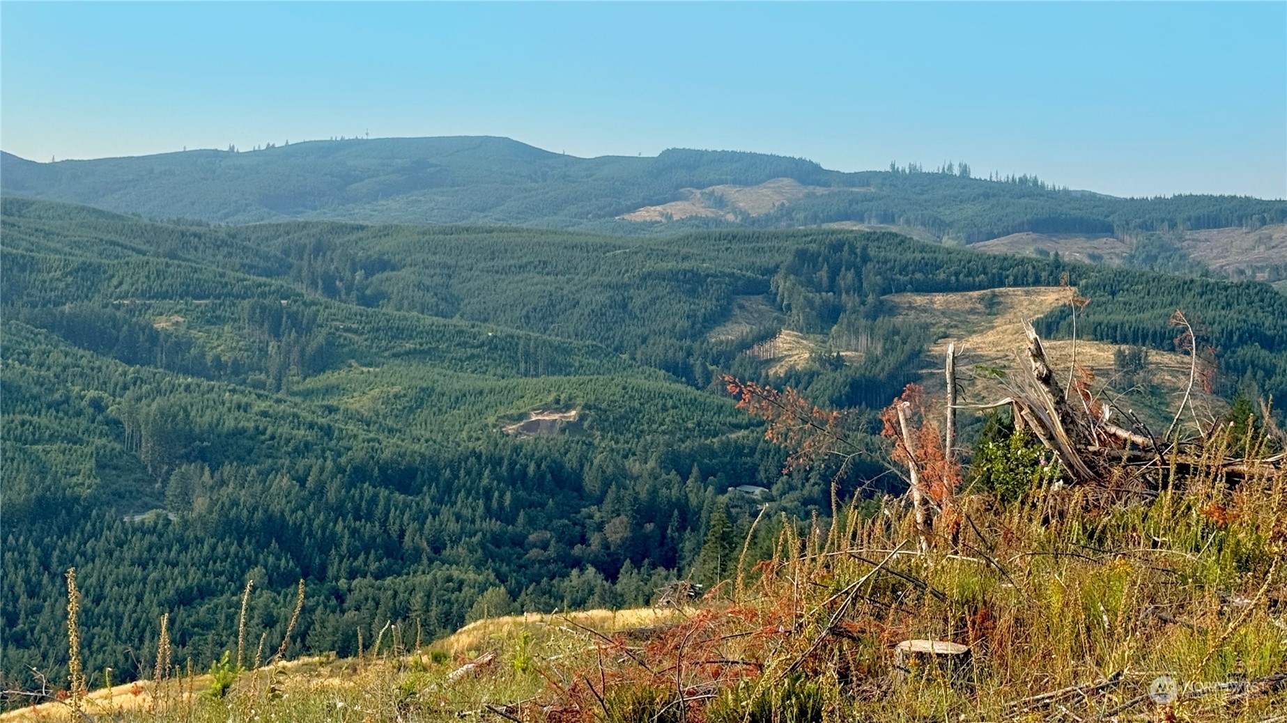 Property Photo:  3725 Little Kalama River Road F  WA 98584 