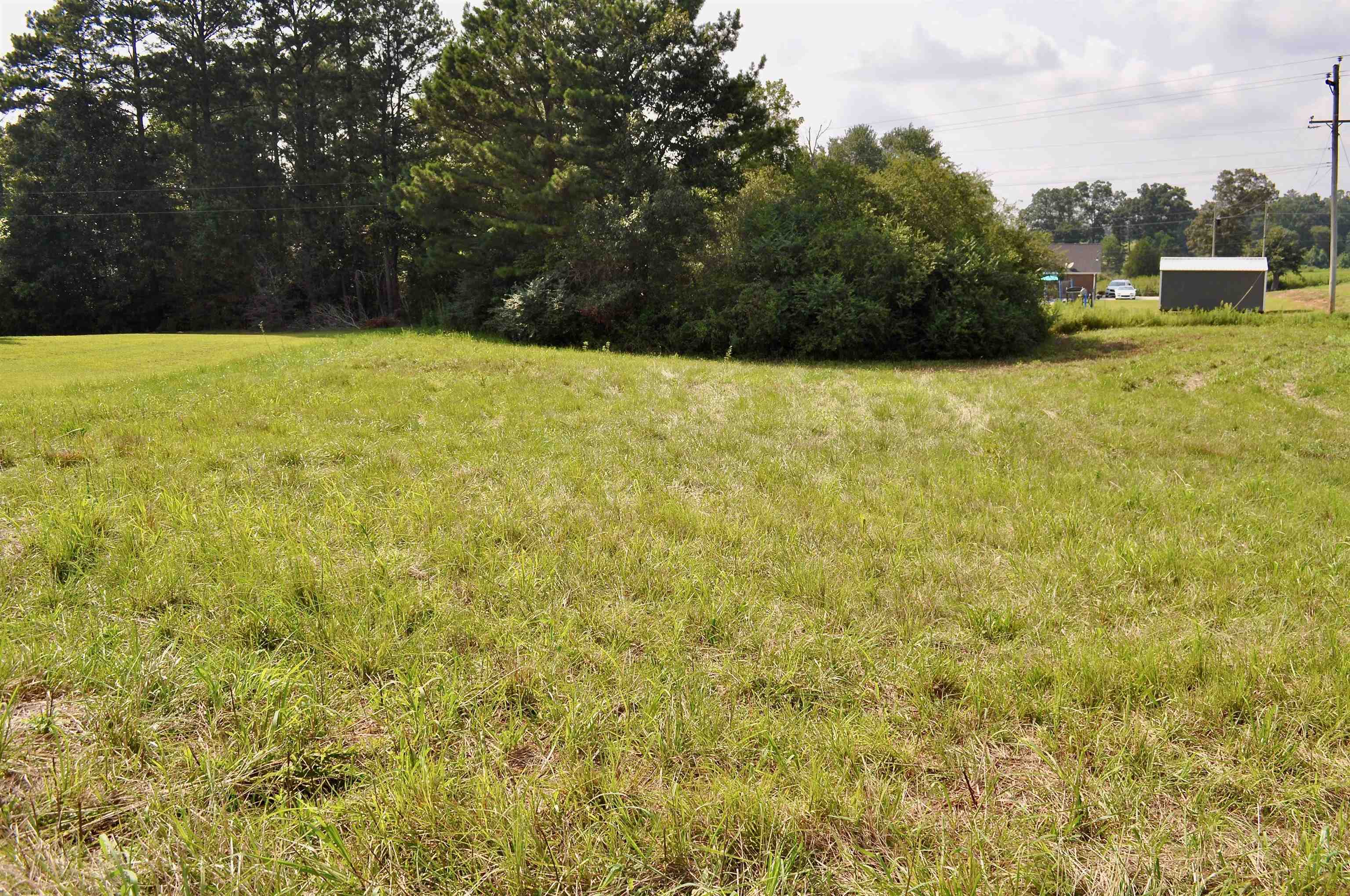 Property Photo:  Lot 7 Tiffani Dr  AL 35058 - CULLMAN 