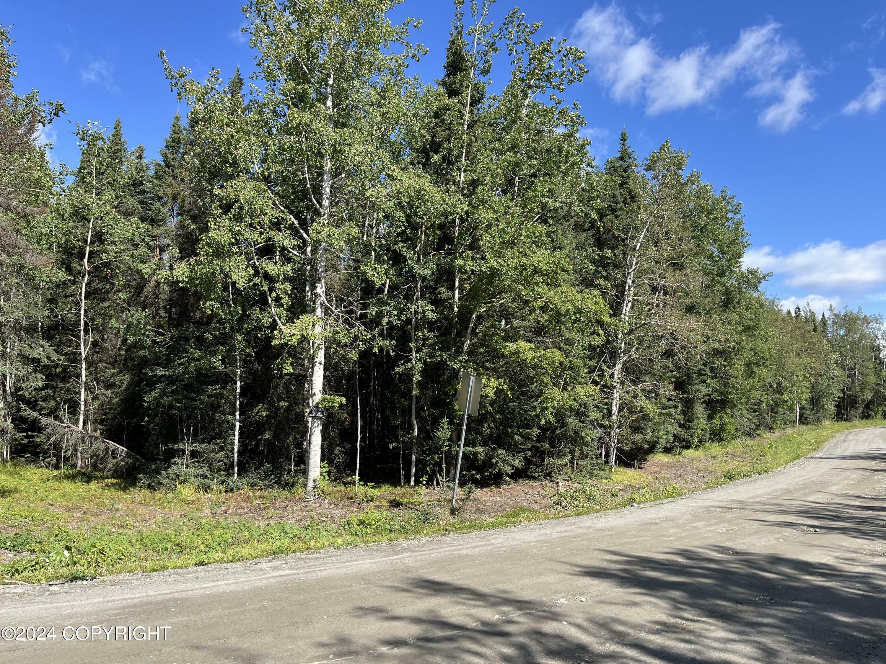 Property Photo:  36840 Swedes Circle  AK 99672 